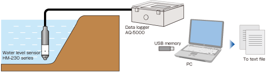 System example