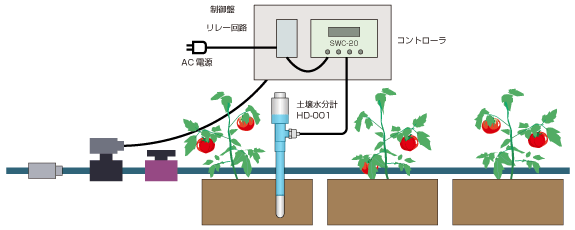 系統實例